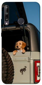 Чохол Dog in the car для Huawei P40 Lite E
