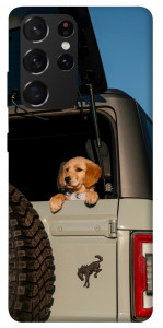 Чехол Dog in the car для Galaxy S21 Ultra