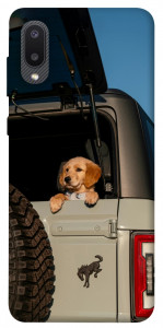 Чехол Dog in the car для Galaxy A02