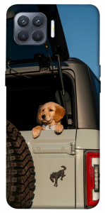 Чехол Dog in the car для Oppo Reno 4 Lite