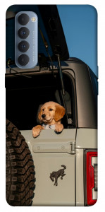 Чехол Dog in the car для Oppo Reno 4 Pro
