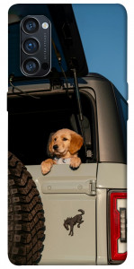 Чехол Dog in the car для Oppo Reno 4 Pro 5G