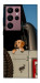 Чехол Dog in the car для Galaxy S22 Ultra