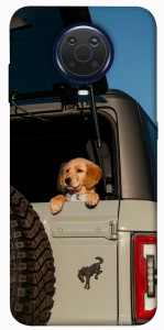 Чехол Dog in the car для Nokia G10