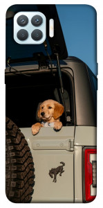 Чехол Dog in the car для Oppo F17 Pro