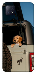 Чехол Dog in the car для Oppo A73 5G