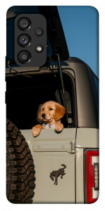 Чехол Dog in the car для Galaxy A53