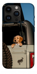 Чехол Dog in the car для iPhone 14 Pro