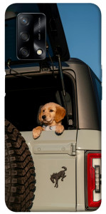 Чехол Dog in the car для Oppo F19
