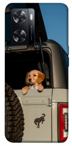 Чехол Dog in the car для Oppo A57s