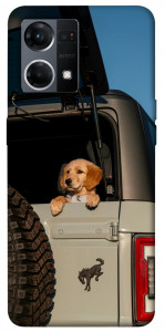 Чехол Dog in the car для Oppo Reno 7 4G