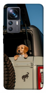 Чохол Dog in the car для Xiaomi 12T
