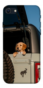 Чохол Dog in the car для iPhone SE (2022)