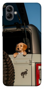 Чехол Dog in the car для Galaxy A04