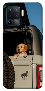 Чохол Dog in the car для Oppo Reno 5 Lite