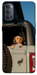 Чехол Dog in the car для Oppo Reno 4