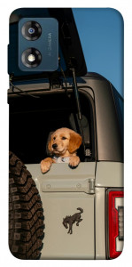 Чехол Dog in the car для Motorola Moto E13