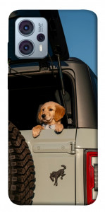 Чехол Dog in the car для Motorola Moto G23