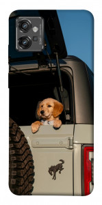 Чехол Dog in the car для Motorola Moto G32