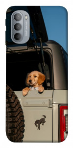 Чехол Dog in the car для Motorola Moto G31