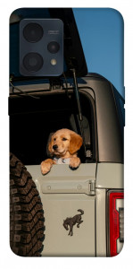Чехол Dog in the car для Realme 9 Pro+