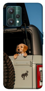 Чехол Dog in the car для Realme 9 Pro