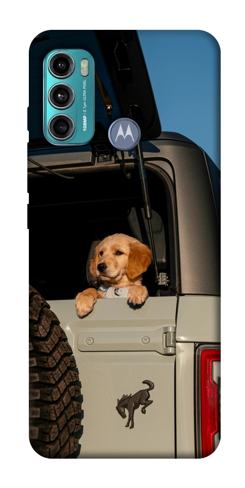 Чехол Dog in the car для Motorola Moto G60