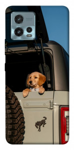 Чохол Dog in the car для Motorola Moto G72