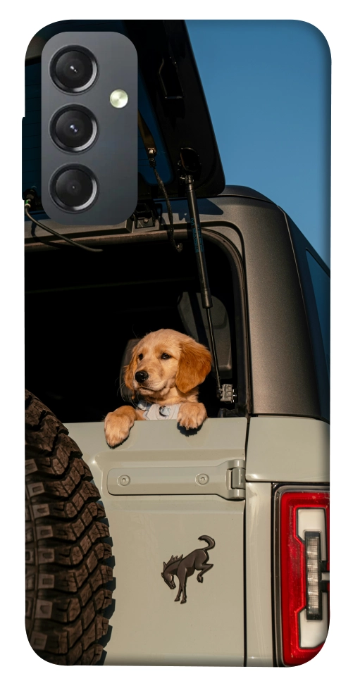 Чехол Dog in the car для Galaxy A24 4G