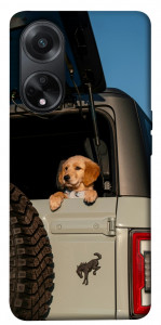 Чехол Dog in the car для Oppo A98