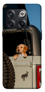 Чехол Dog in the car для OnePlus 10T