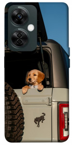 Чехол Dog in the car для OnePlus Nord CE 3 Lite