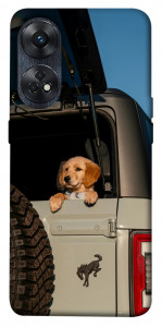 Чохол Dog in the car для Oppo Reno 8 T 4G