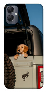 Чохол Dog in the car для Galaxy A05