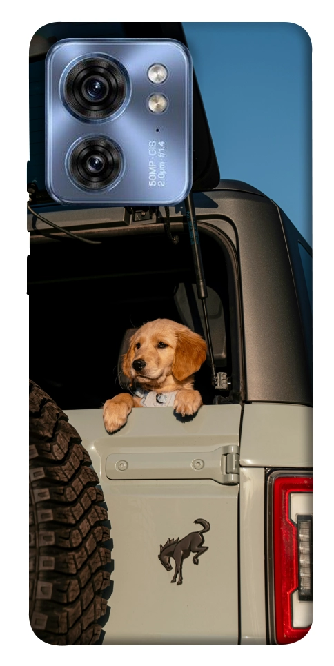 Чехол Dog in the car для Motorola Edge 40