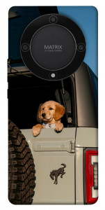 Чохол Dog in the car для Huawei Magic5 Lite
