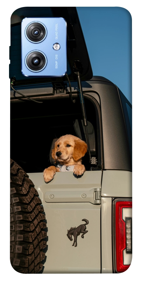 Чохол Dog in the car для Motorola Moto G84