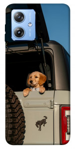 Чехол Dog in the car для Motorola Moto G84