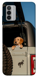 Чехол Dog in the car для Nokia G42