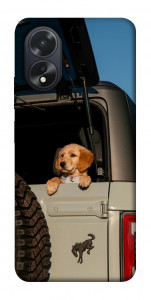 Чехол Dog in the car для Oppo A38