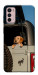 Чохол Dog in the car для Motorola Moto G42