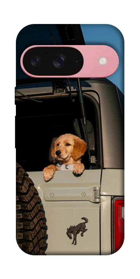 Чехол Dog in the car для Google Pixel 9