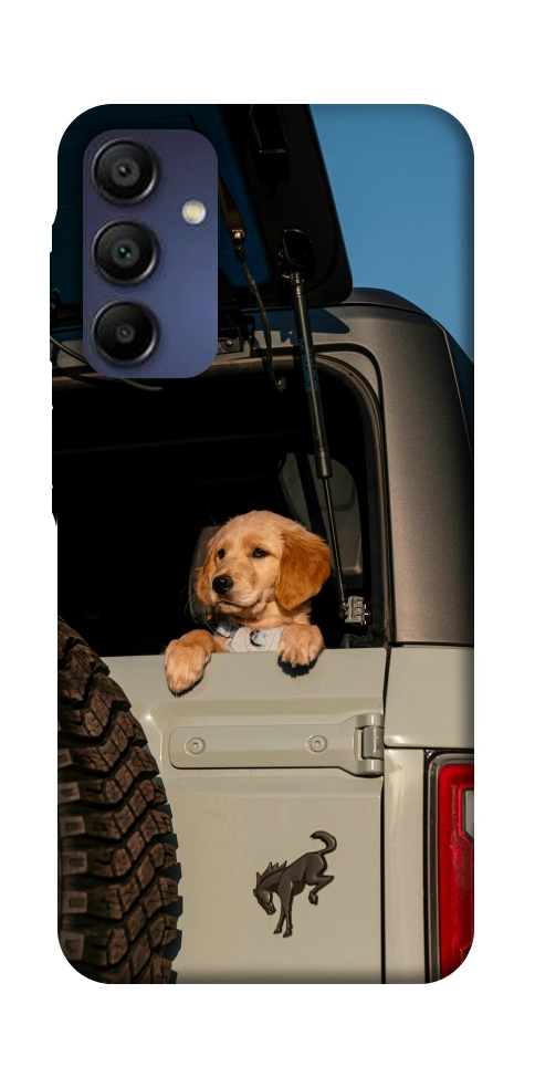 Чехол Dog in the car для Galaxy A16 5G