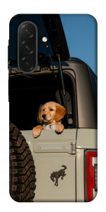 Чехол Dog in the car для Galaxy A26 5G