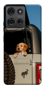 Чохол Dog in the car для Motorola Moto G75 5G