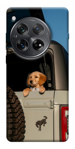 Чохол Dog in the car для OnePlus 12