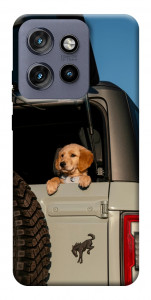 Чехол Dog in the car для Motorola Edge 50 Neo