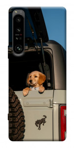 Чохол Dog in the car для Sony Xperia 1 IV