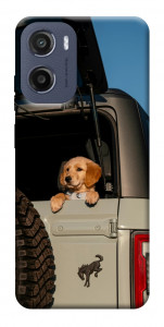 Чохол Dog in the car для Motorola Moto E15