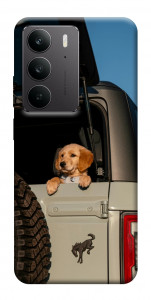 Чохол Dog in the car для Realme C75